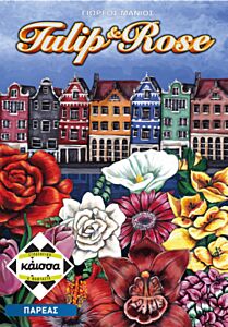 TULIP & ROSE - KA113940