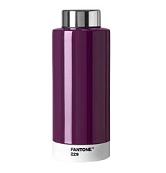PANTONE™ - ΜΠΟΥΚΑΛΙ ΘΕΡΜΟΣ 500ML. - ΜΕΛΙΤΖΑΝΙ 229