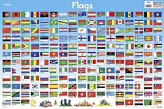 FLAGS (COLLINS CHILDREN’S POSTER)