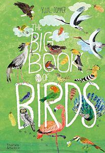 THE BIG BOOK OF BIRDS HC