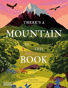 THERE'S A MOUNTAIN IN THIS BOOK HC