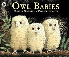 OWL BABIES  PB