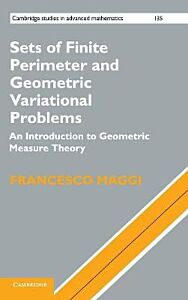 SETS OF FINITE PERIMETER AND GEOMETRIC VARIATIONAL PROBLEMS  HC