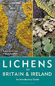 LICHENS OF BRITAIN AND IRELAND : AN INTRODUCTORY GUIDE PB