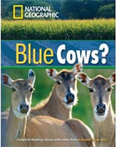NGR : BLUE COWS? B1 (+ DVD)