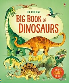 USBORNE BIG BOOK OF DINOSAURS HC