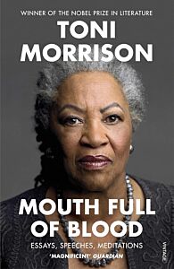 MOUTH FULL OF BLOOD : ESSAYS, SPEECHES, MEDITATIONS PB