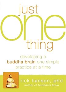 JUST ONE THING DEVELOPING A BUDDHA BRAIN ONE SIMPLE PRACTICE AT A TIME TPB