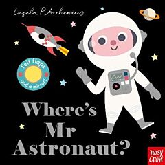 WHERE'S MR ASTRONAUT?