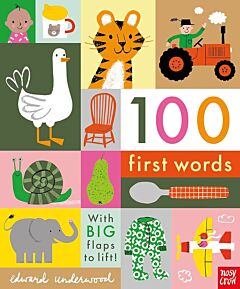 100 FIRST WORDS HC BBK