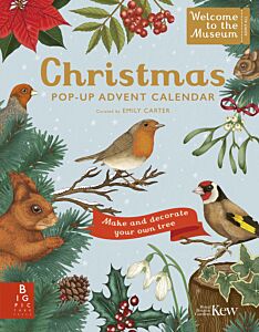 WELCOME TO THE MUSEUM: A CHRISTMAS POP-UP ADVENT CALENDAR HC