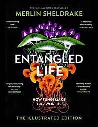 ENTANGLED LIFE : HOW FUNGI MAKE OUR WORLDS, CHANGE OUR MINDS AND SHAPE OUR FUTURES  HC
