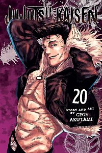 JUJUTSU KAISEN, VOL. 20 PA