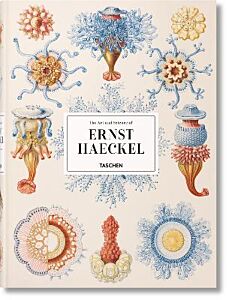 TASCHEN XL : THE ART AND SCIENCE OF ERNST HAECKEL HC