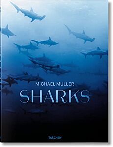 TASCHEN XL : MICHAEL MULLER. SHARKS