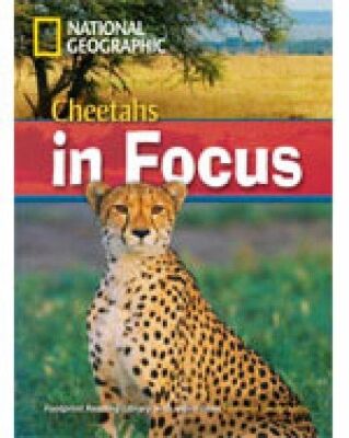 FRL 6: CHEETAHS IN FOCUS B2 (+ DVD)